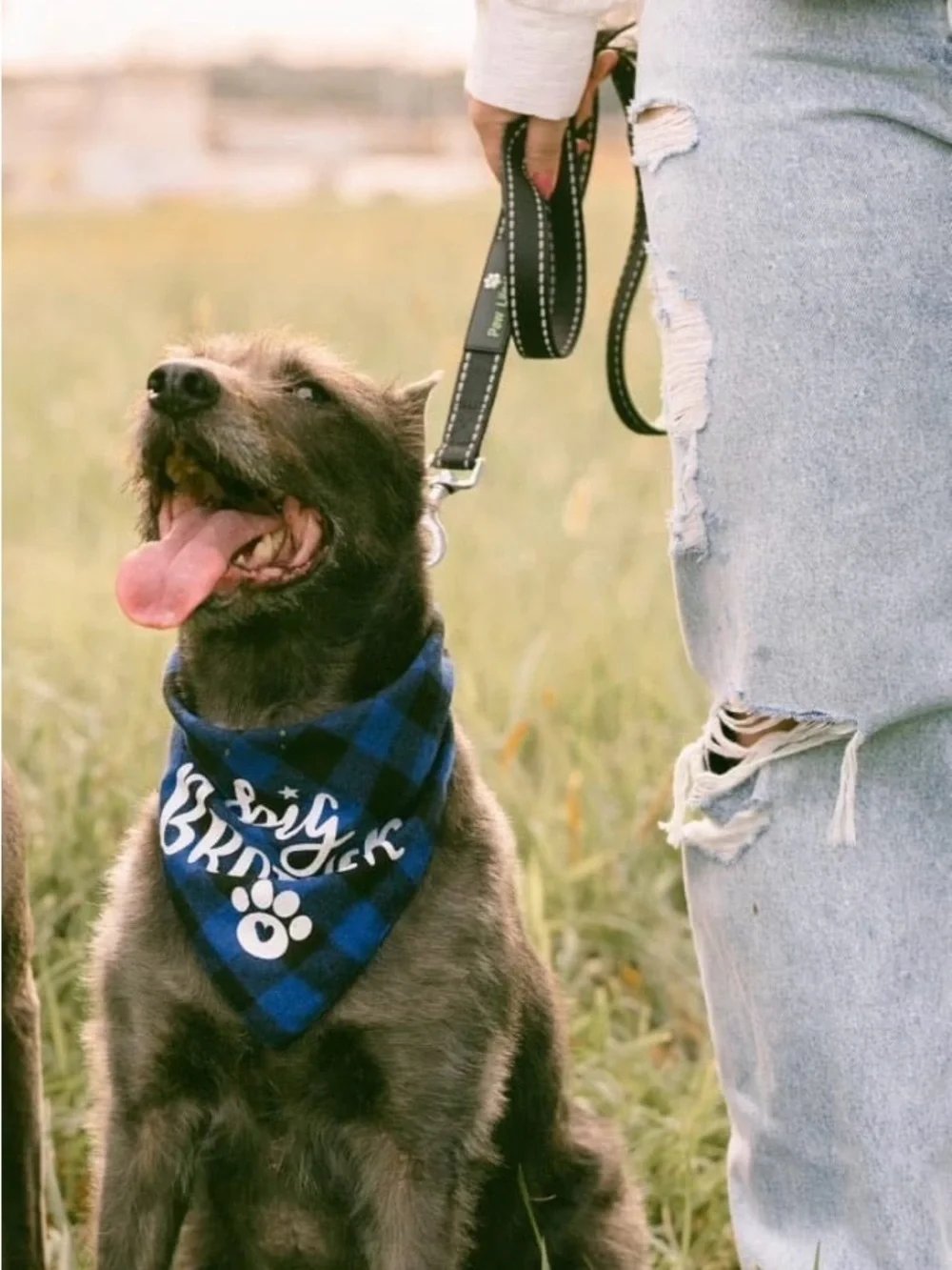 Amazon Blue and Black Plaid 